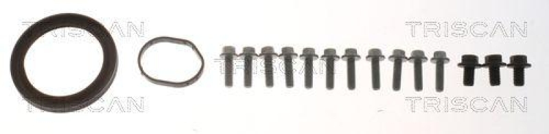 TRISCAN 8647 16025 Schraubensatz Ecoboost f&uuml;r Bolts&aelig;t Ecoboost