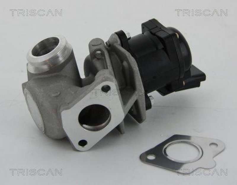 TRISCAN 8813 10010 Agr Ventil f&uuml;r Psa/Fiat/Gm