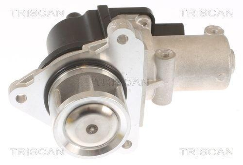 TRISCAN 8813 43010 Agr Ventil f&uuml;r Hyundai/Kia
