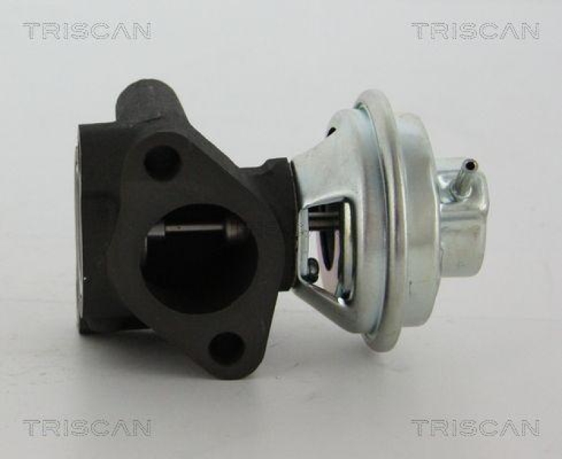 TRISCAN 8813 43016 Agr Ventil f&uuml;r Hyundai/Kia