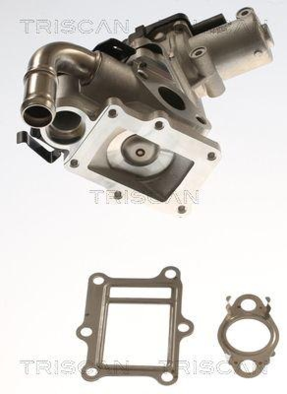 TRISCAN 8813 43017 Agr Ventil f&uuml;r Hyundai, Kia