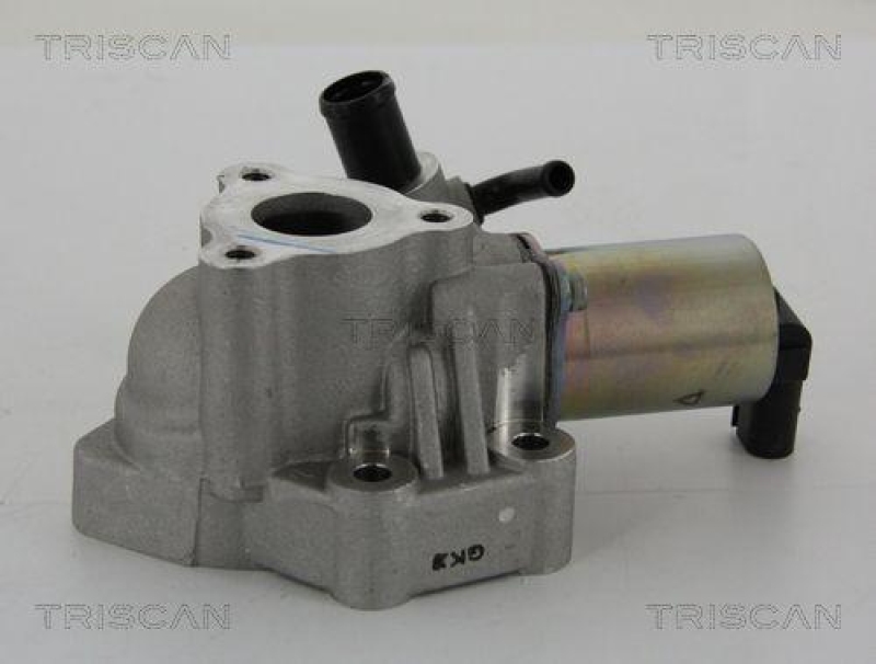 TRISCAN 8813 43020 Agr Ventil f&uuml;r Hyundai/Kia