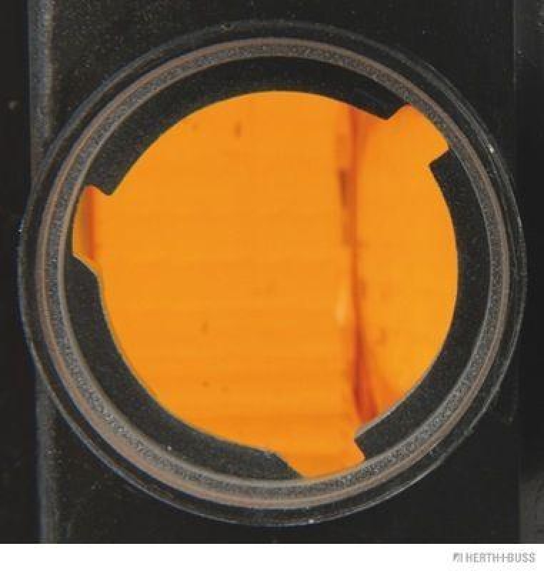 HERTH+BUSS 83700001 Blinkleuchte links, R5W, P21W