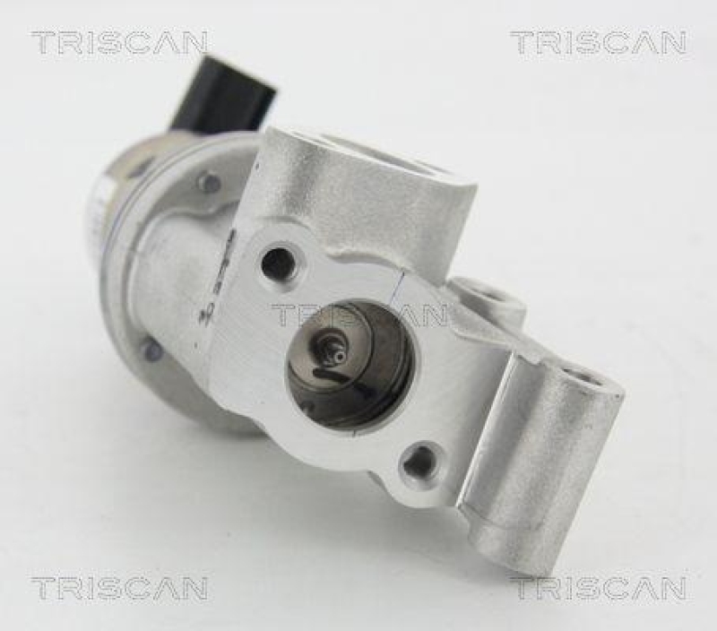 TRISCAN 8813 43021 Agr Ventil f&uuml;r Hyundai/Kia