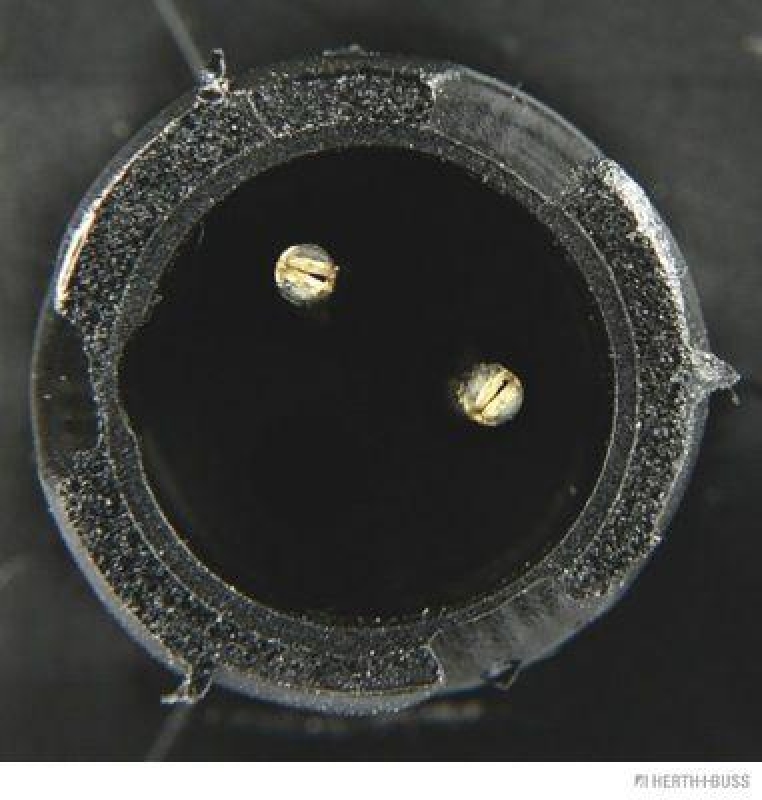 HERTH+BUSS 83700003 Blinkleuchte links, rechts