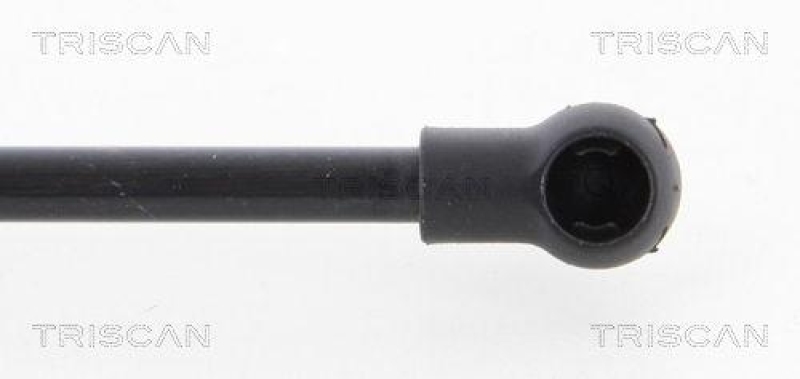TRISCAN 8710 38233 Gasfeder Hinten f&uuml;r Citroen C3