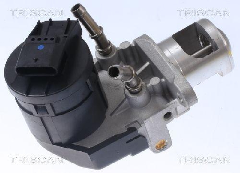 TRISCAN 8813 11001 Agr Ventil f&uuml;r Bmw