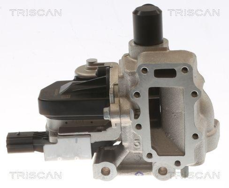 TRISCAN 8813 43054 Agr Ventil f&uuml;r Hyundai I20 D, Kia Rio D
