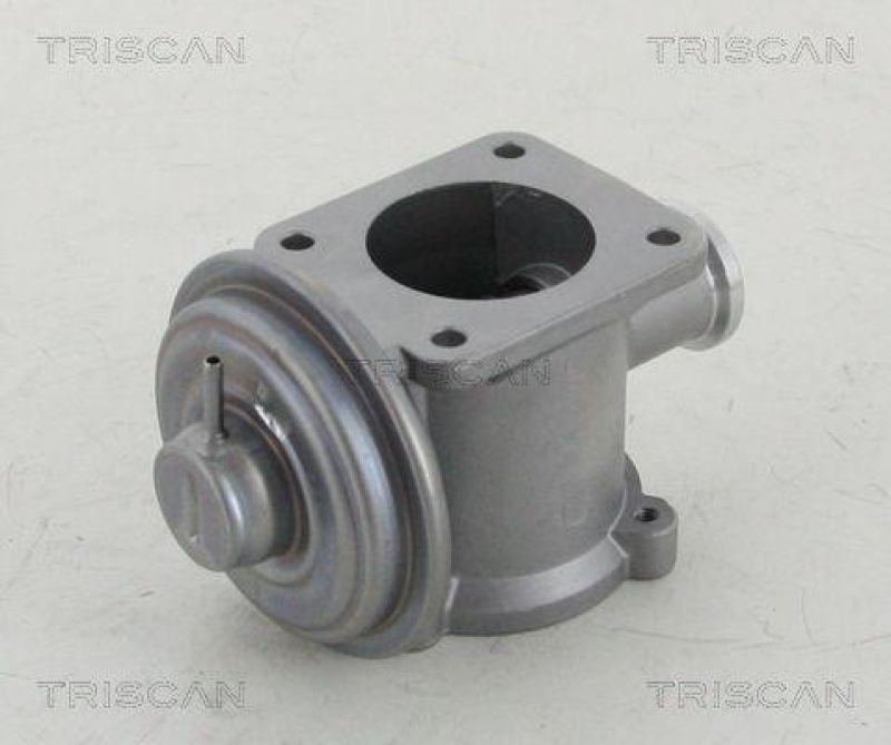 TRISCAN 8813 11003 Agr Ventil f&uuml;r Bmw