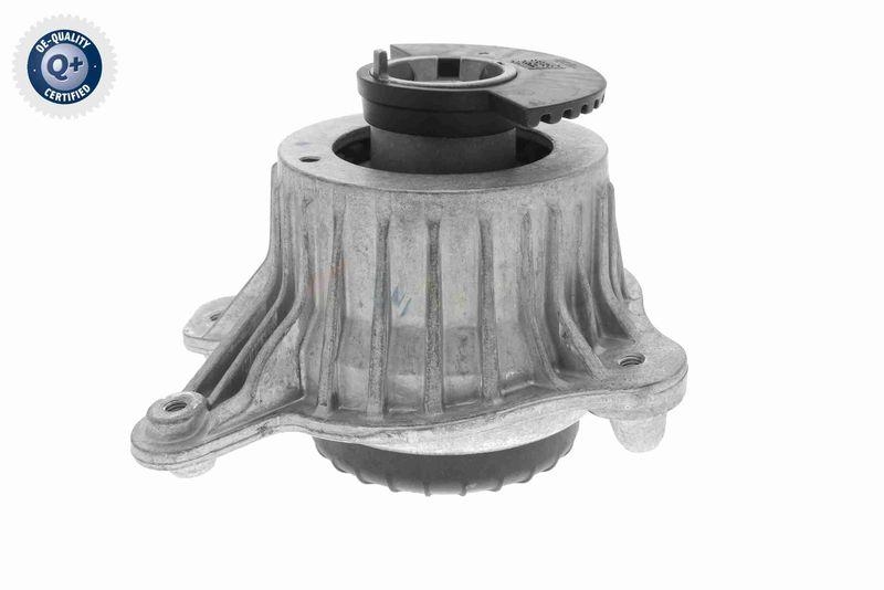 VAICO V30-3099 Lagerung, Motor Hydraulisch, links f&uuml;r MERCEDES-BENZ