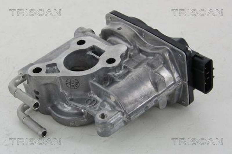 TRISCAN 8813 13021 Agr Ventil f&uuml;r Toyota