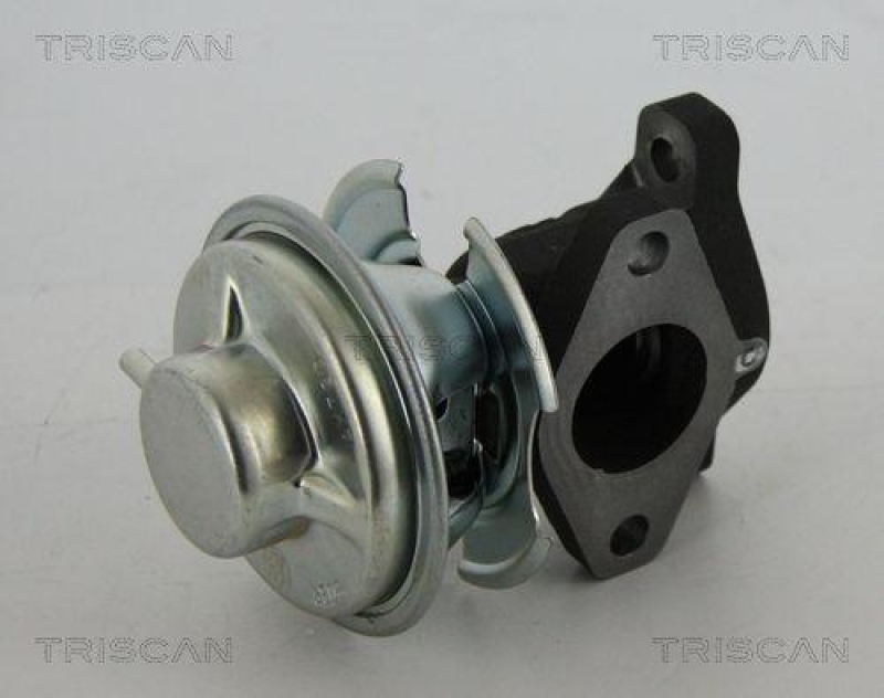 TRISCAN 8813 43201 Agr Ventil f&uuml;r Hyundai