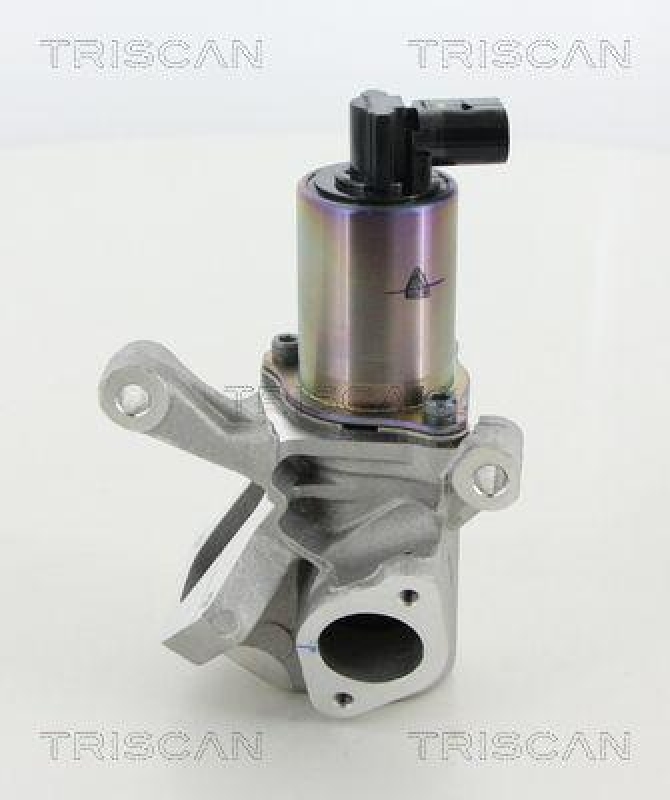 TRISCAN 8813 44009 Agr Ventil f&uuml;r Ssangyong
