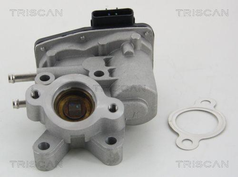 TRISCAN 8813 14100 Agr Ventil f&uuml;r Nissan