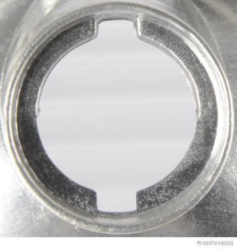 HERTH+BUSS 83700609 Blinkleuchte Links, WY5W