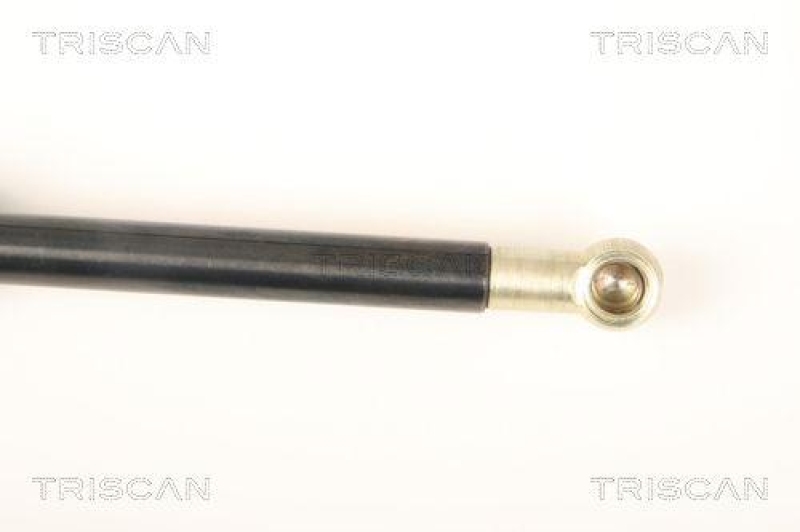 TRISCAN 8710 40231 Gasfeder Hinten für Honda Accord Tourer (Cm)