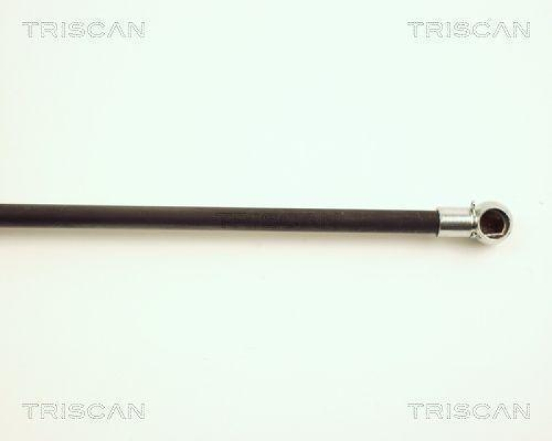 TRISCAN 8710 25220 Gasfeder Hinten für Renault Clio Ii