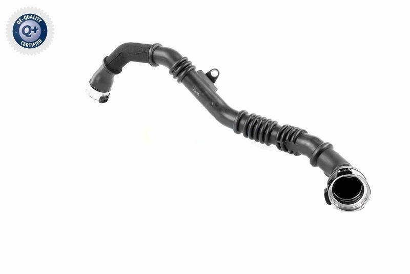 VAICO V46-1177 Ladeluftschlauch f&uuml;r RENAULT