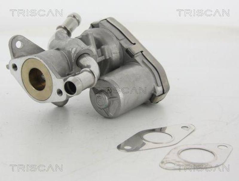 TRISCAN 8813 16100 Agr Ventil f&uuml;r Ford