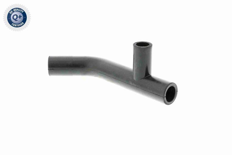 VAICO V10-3138 Schlauch, Zylinderkopfhaubenentl&uuml;ftung f&uuml;r VW