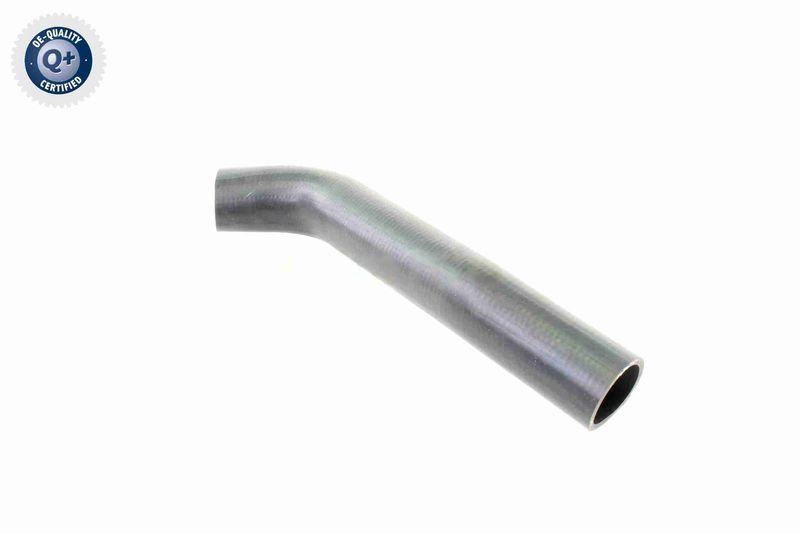 VAICO V30-1968 K&uuml;hlerschlauch K&uuml;hler, Anschlu&szlig; unten f&uuml;r MERCEDES-BENZ