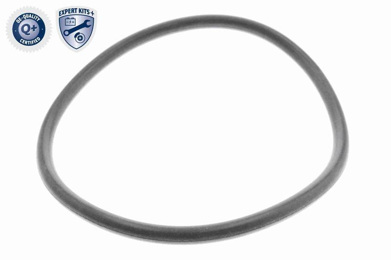 VAICO V10-0440-1 Hydraulikfilter, Automatikgetriebe 6-Gang DSG® (DQ250) für VW