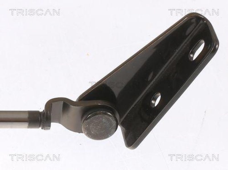 TRISCAN 8710 43203 Gasfeder Hinten f&uuml;r Hyundai Atos