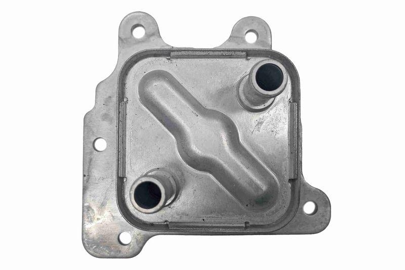 ACKOJA A38-60-0021 Ölkühler, Motoröl mit Dichtung für NISSAN