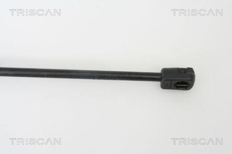 TRISCAN 8710 43216 Gasfeder Hinten f&uuml;r Hyundai Matrix