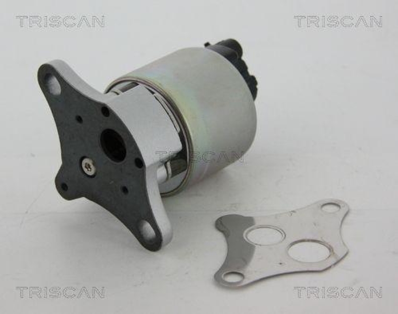 TRISCAN 8813 24081 Agr Ventil f&uuml;r Opel/Saab