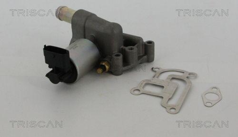 TRISCAN 8813 24200 Agr Ventil f&uuml;r Opel