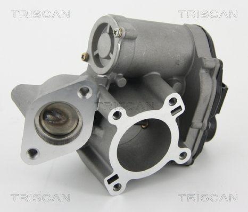 TRISCAN 8813 25010 Agr Ventil f&uuml;r Renault/Dacia