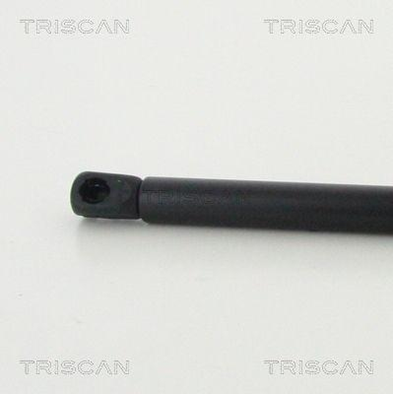 TRISCAN 8710 43246 Gasfeder Hinten für Hyundai I10