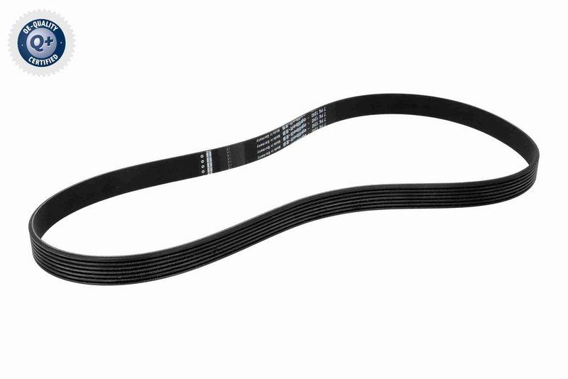 VAICO V24-1209 Keilrippenriemen für FIAT