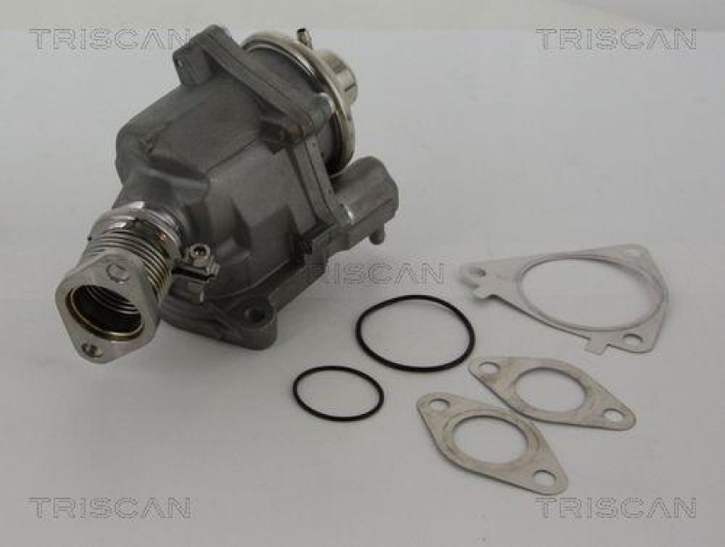 TRISCAN 8813 28019 Agr Ventil f&uuml;r Psa