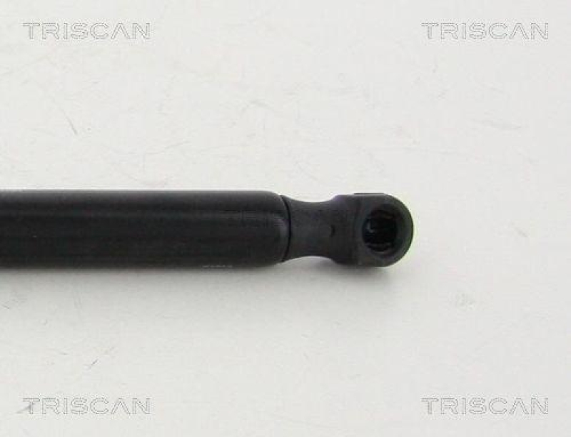 TRISCAN 8710 112004 Gasfeder Hinten für Bmw X3 F25