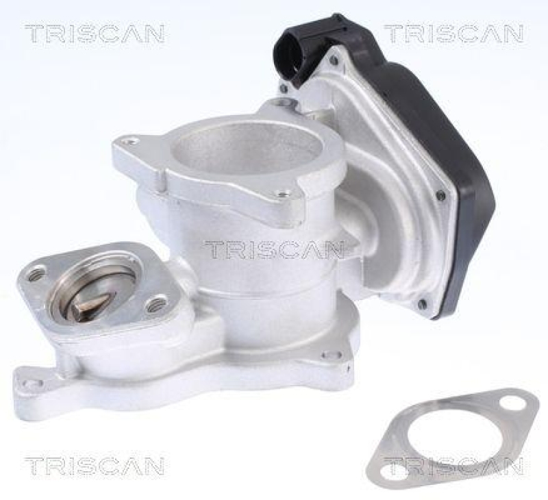 TRISCAN 8813 29019 Agr Ventil f&uuml;r Vag