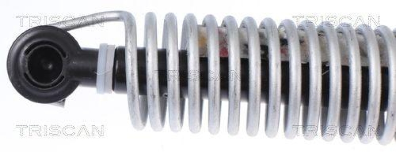 TRISCAN 8710 112013 Gasfeder Hinten f&uuml;r Bmw