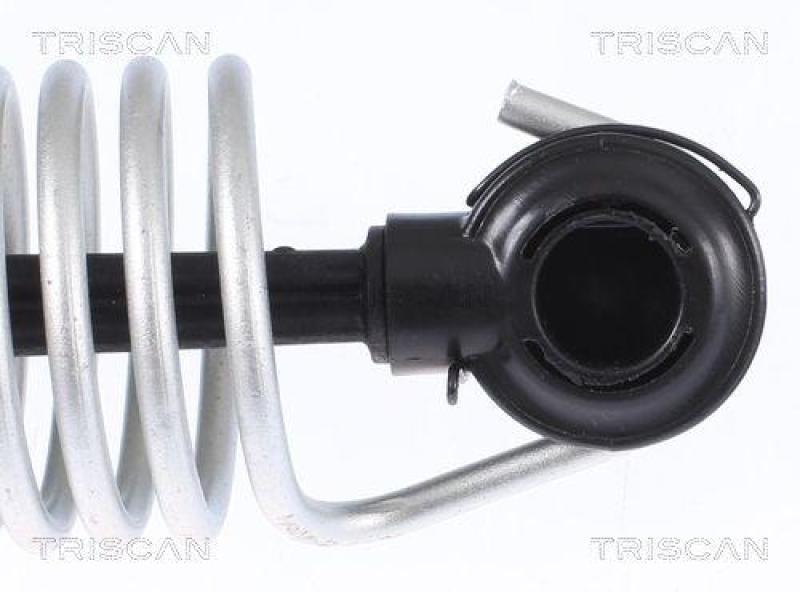 TRISCAN 8710 112015 Gasfeder Hinten f&uuml;r Bmw