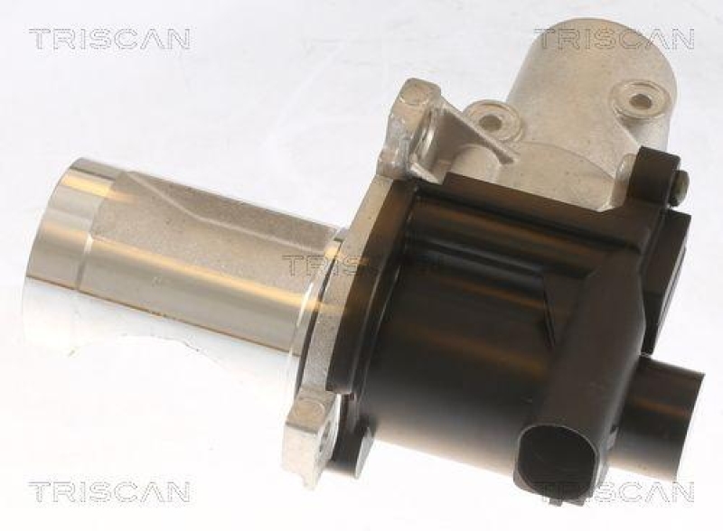 TRISCAN 8813 29101 Agr Ventil f&uuml;r Vw