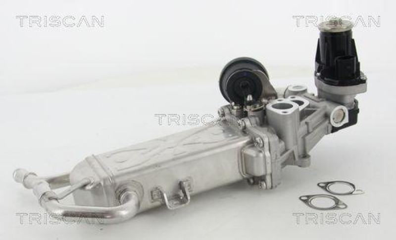 TRISCAN 8813 29325 Agr Ventil f&uuml;r Vag