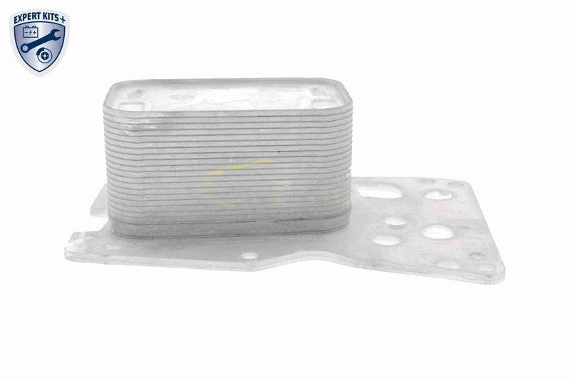 VEMO V20-60-0076 Ölkühler, Motoröl mit Dichtung für BMW