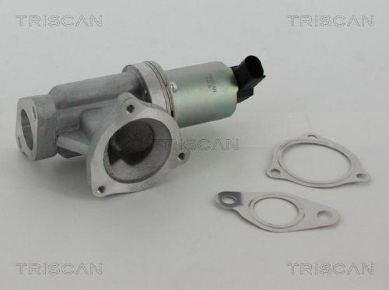 TRISCAN 8813 43002 Agr Ventil f&uuml;r Hyundai/Kia