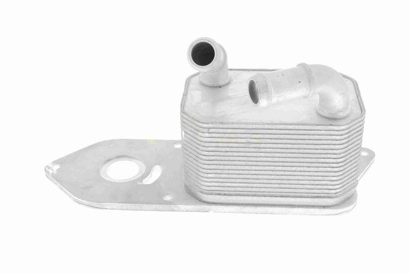 VEMO V25-60-3027 Ölkühler, Motoröl mit Dichtung für FORD