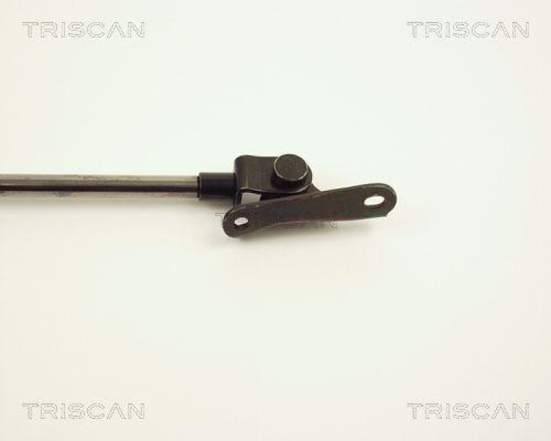 TRISCAN 8710 13234 Gasfeder Hinten f&uuml;r Toyota Carina E