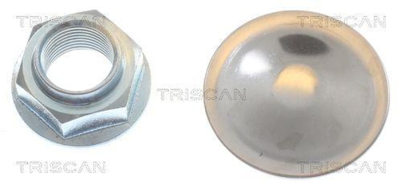 TRISCAN 8120 101124c Bremsscheibe Hinten, Coated für Opel, Renault