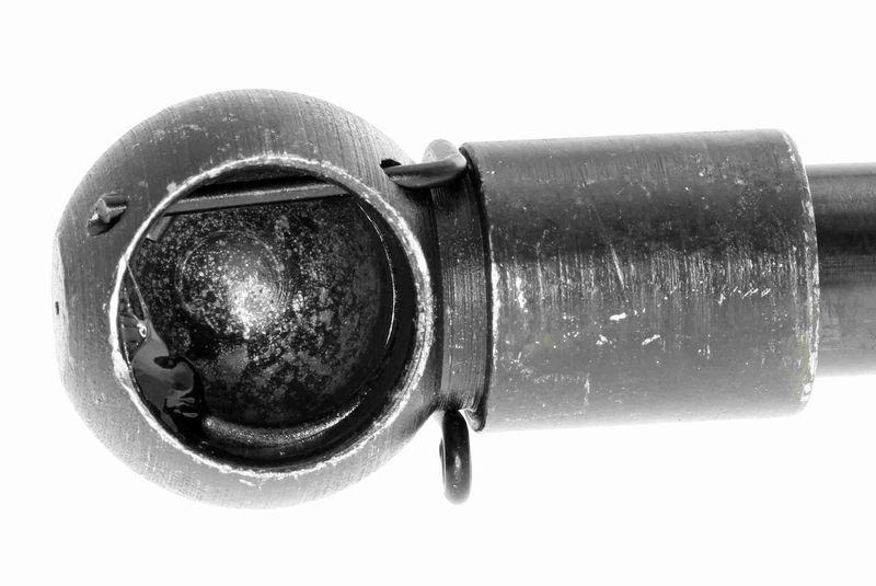 ACKOJA A38-0037 Gasfeder, Koffer-/Laderaum für NISSAN