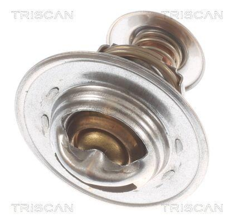 TRISCAN 8620 17591 Thermostat für Ford