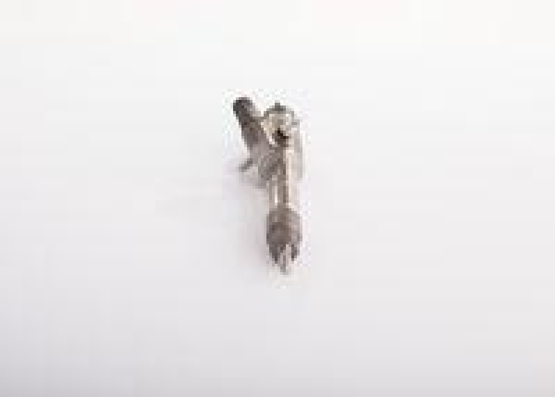 Bosch 0 445 120 043 Injektor