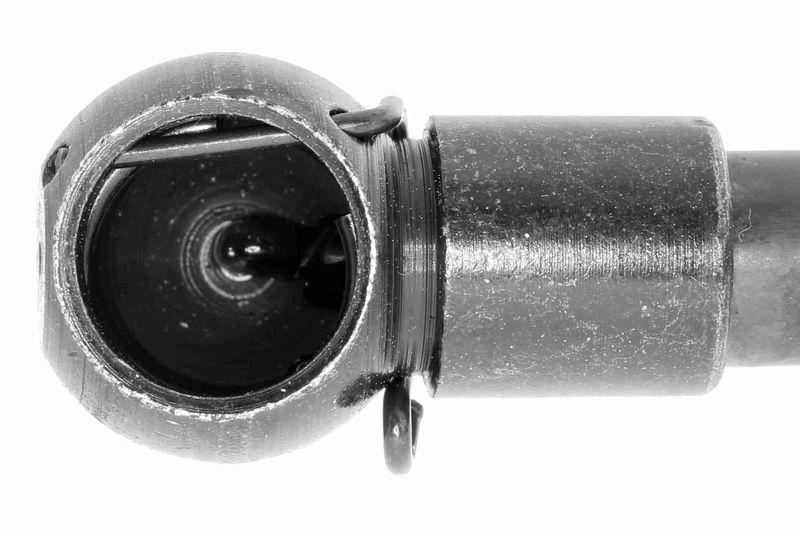 ACKOJA A38-0068 Gasfeder, Koffer-/Laderaum für NISSAN